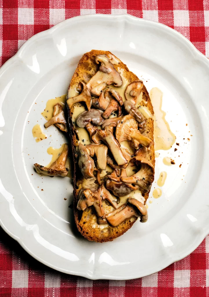 Grafikmagazin The Gourmand's Mushroom Kochbuch über Pilze