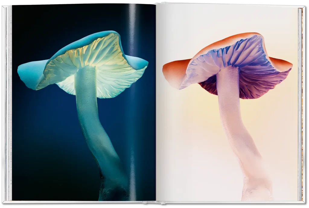 Grafikmagazin The Gourmand's Mushroom Kochbuch über Pilze